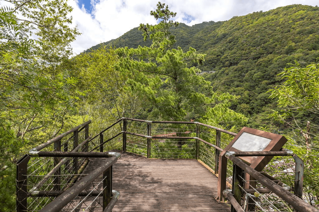 桃園復興山霧之中，巴陵古道靜靜延伸，把泰雅記憶與森林氣息寫成風景