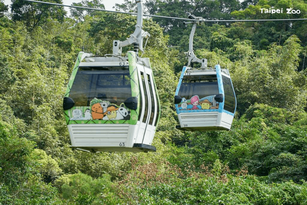 從都市的邊界一路攀升，貓空纜車讓台北天際線與茶園梯田在黃昏裡交會