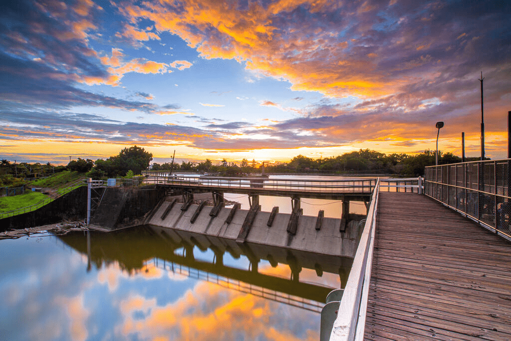 環湖步道綠蔭茂密，適合慢跑與散步