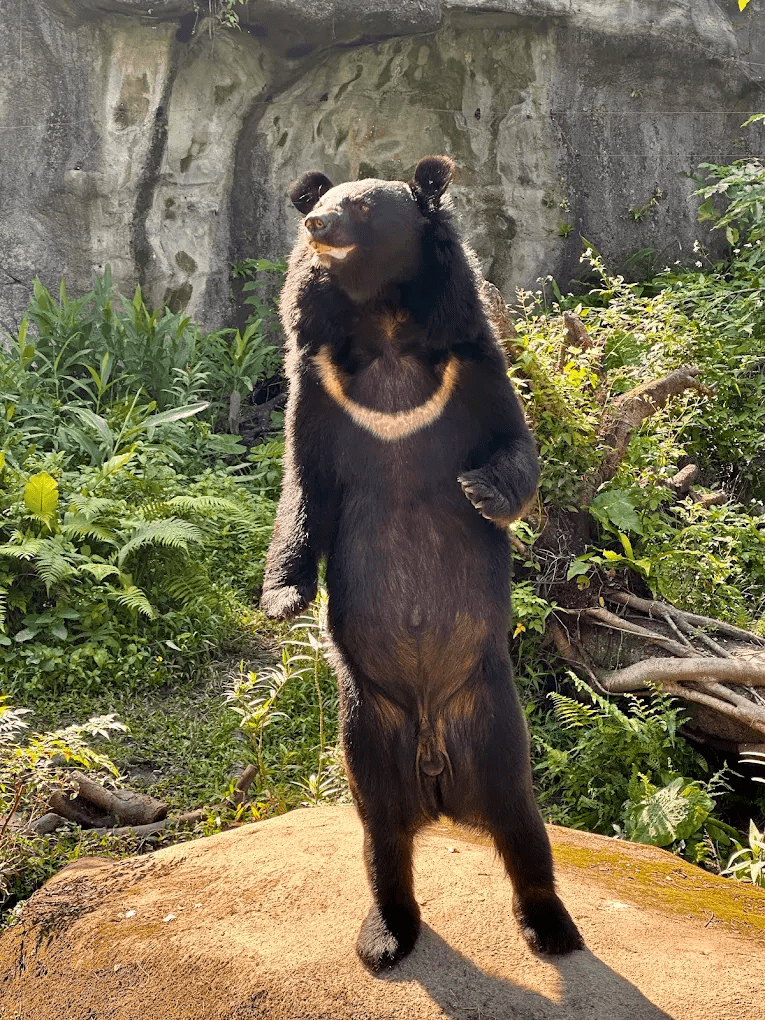 臺北市立動物園 台灣動物區