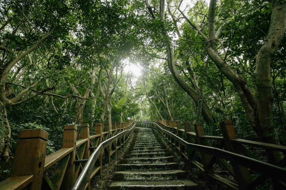 走進十八尖山森林公園的環山步道，在新竹城市裡收藏最舒服的散步時光