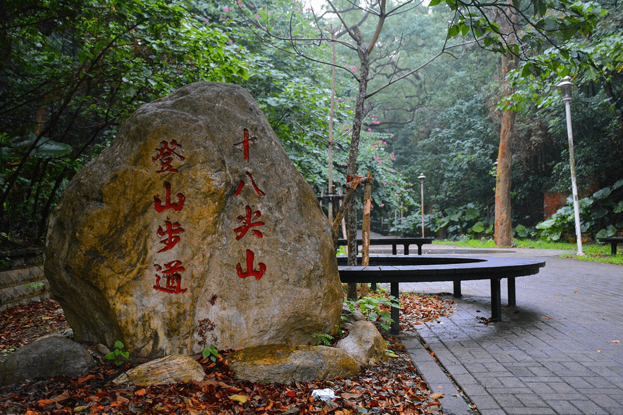 走進十八尖山森林公園的環山步道，在新竹城市裡收藏最舒服的散步時光