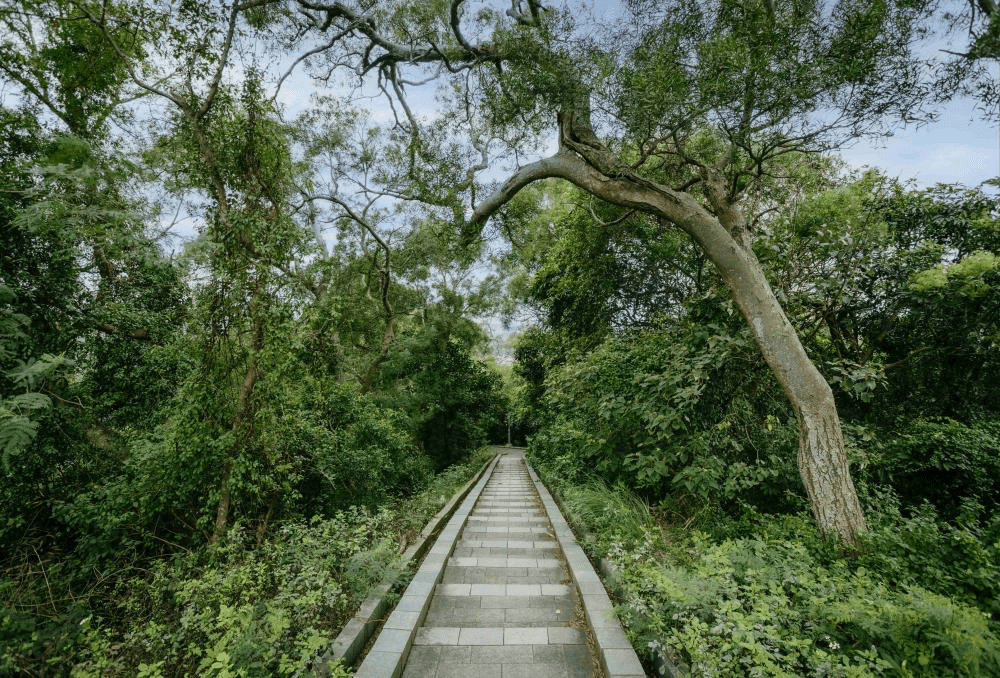 走進十八尖山森林公園的環山步道，在新竹城市裡收藏最舒服的散步時光