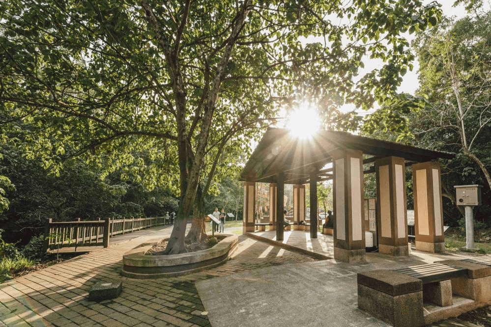 走進十八尖山森林公園的環山步道，在新竹城市裡收藏最舒服的散步時光