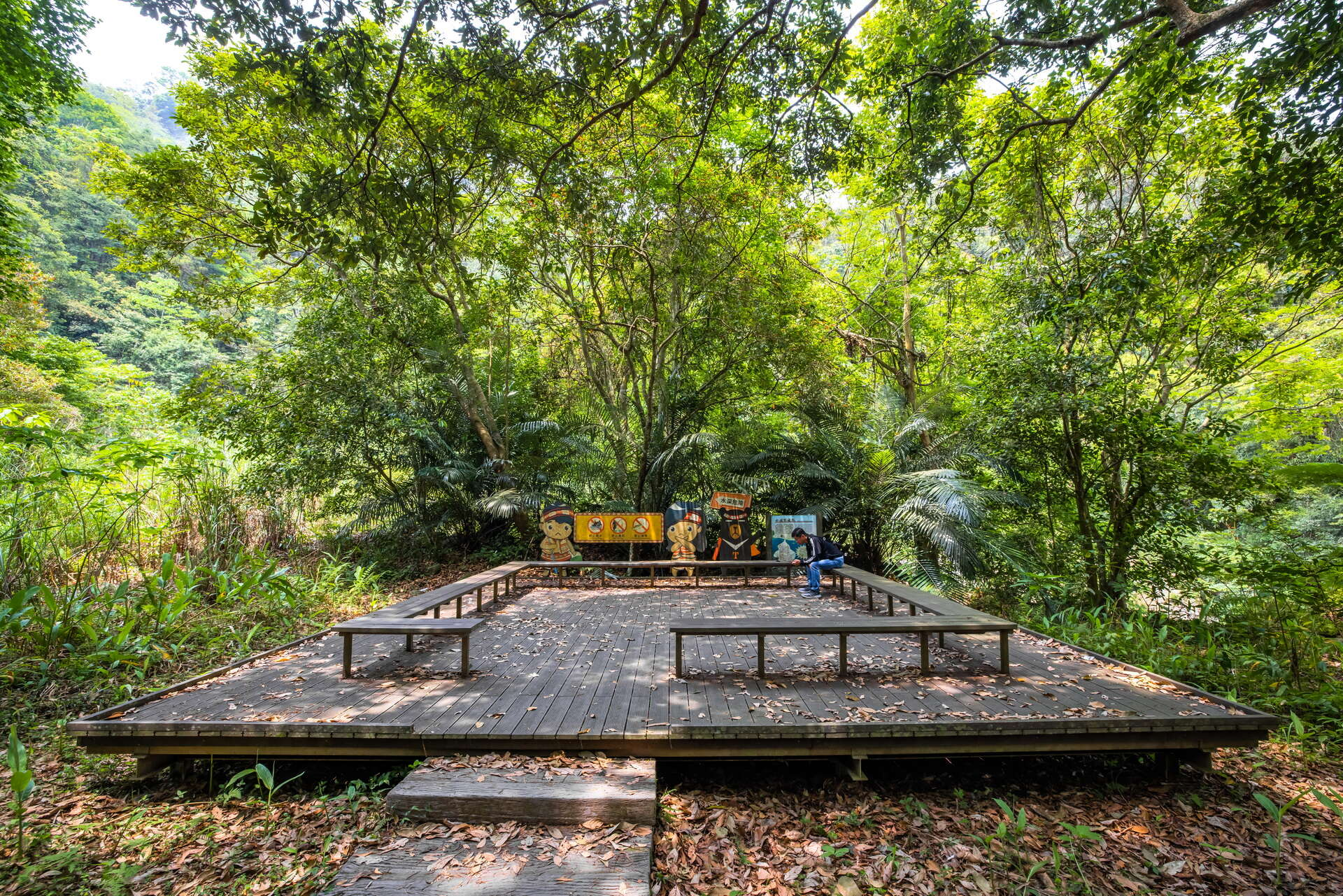 蓬萊溪護魚步道一日慢旅行，走進苗栗南庄森林步道遇見純淨的溪流生態