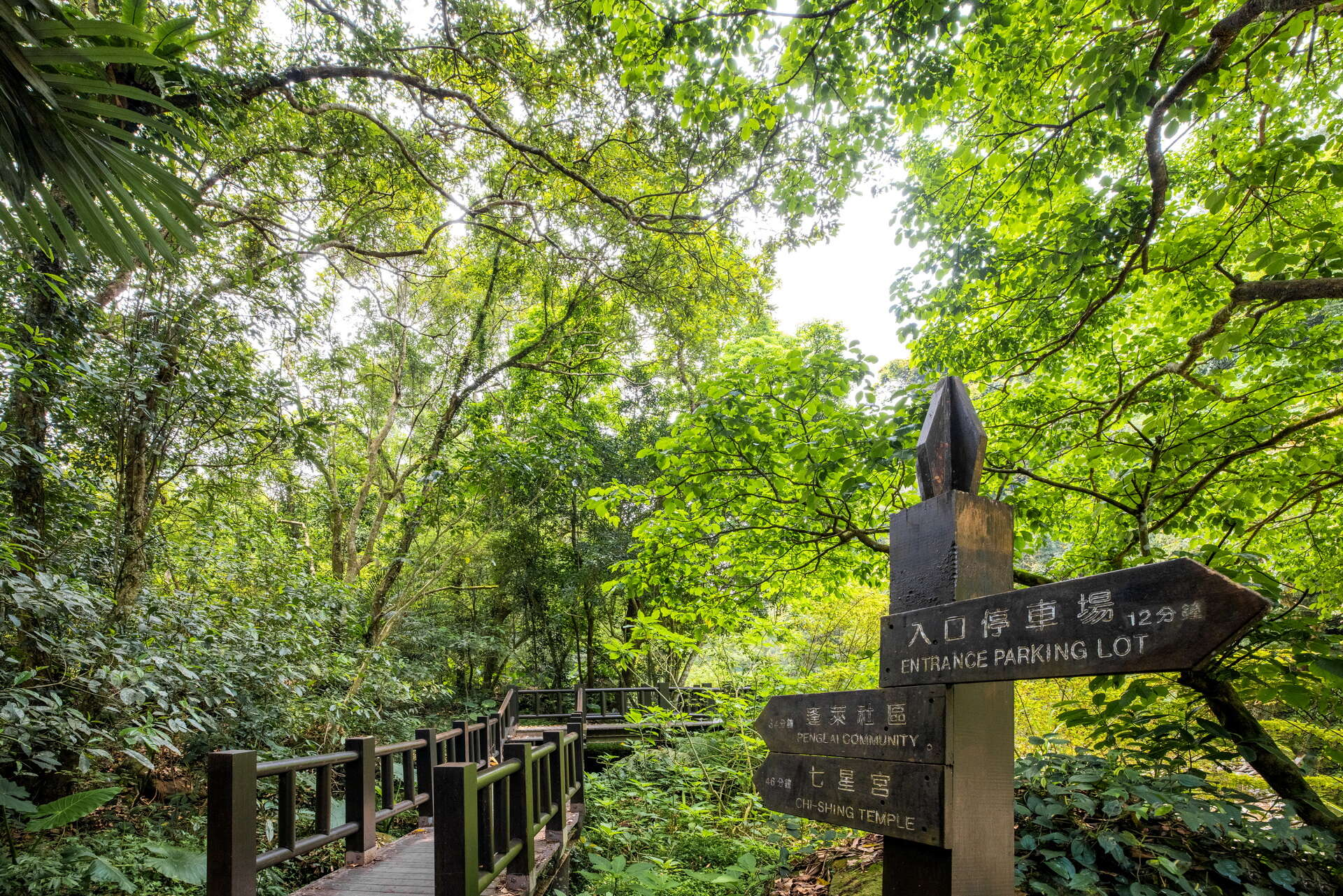 蓬萊溪護魚步道一日慢旅行，走進苗栗南庄森林步道遇見純淨的溪流生態