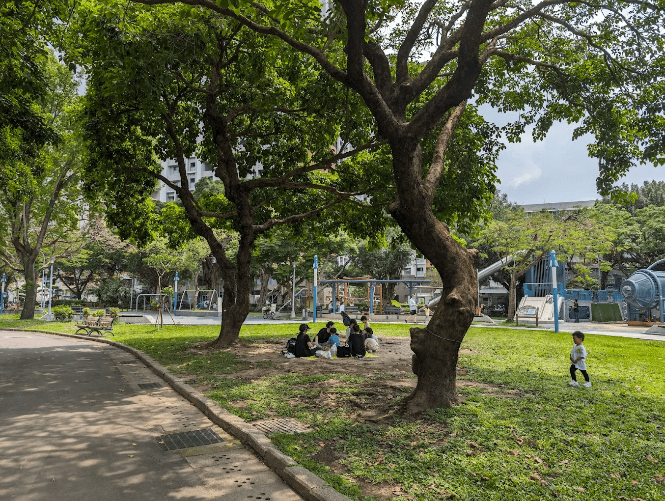 飛行探索共融式遊戲場