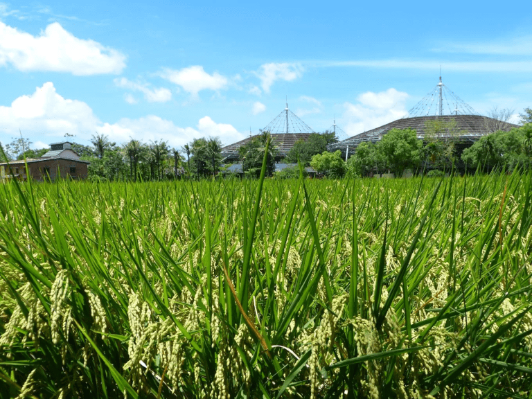六堆客家文化園區