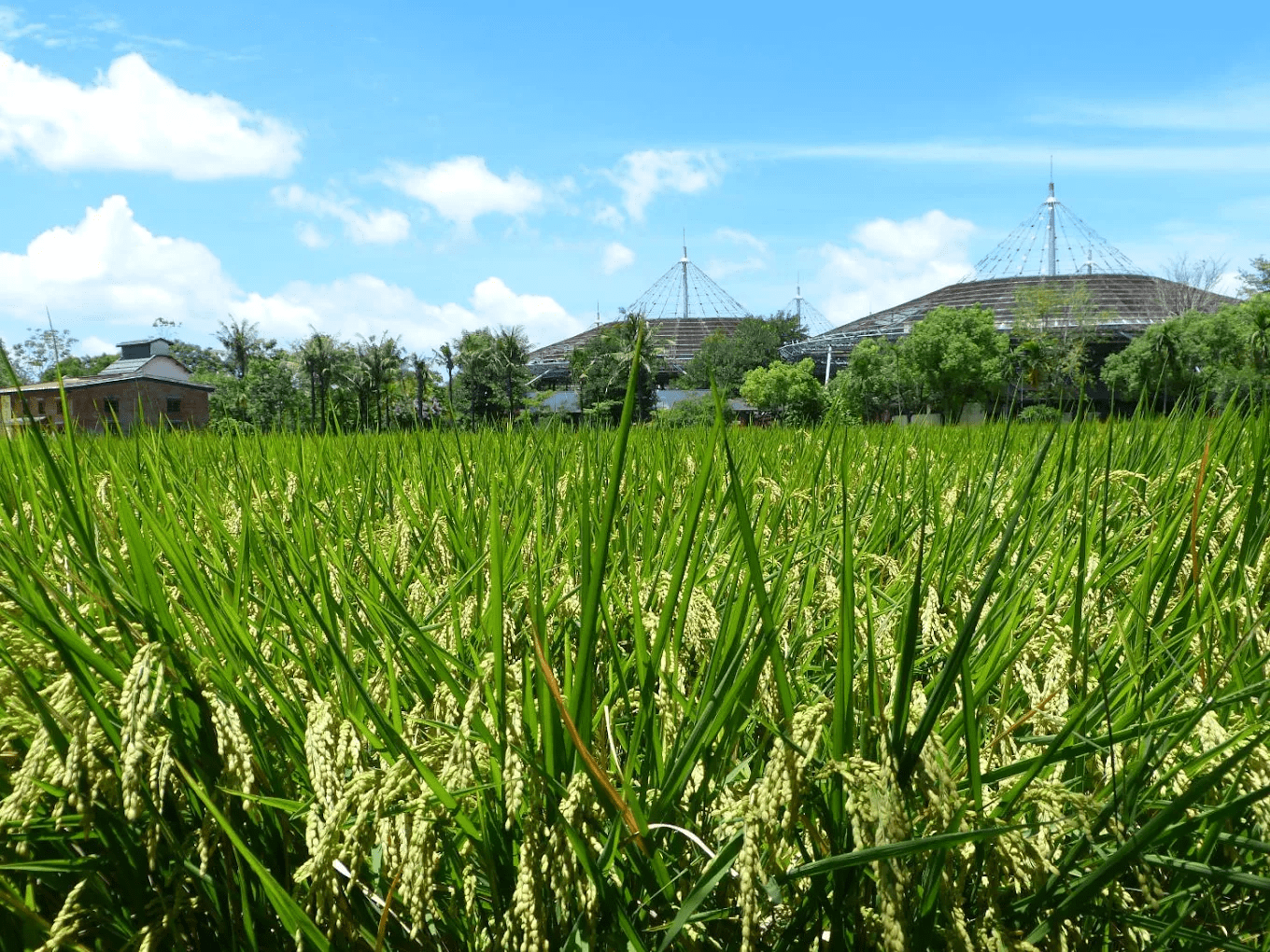 六堆客家文化園區