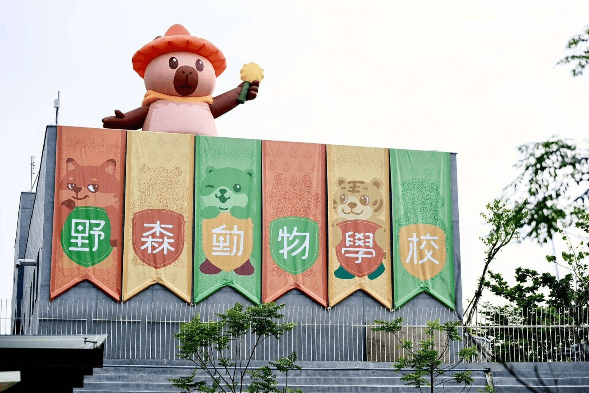 高雄內門野森動物學校慢旅行，在山林與動物陪伴下收藏溫柔的自然時光