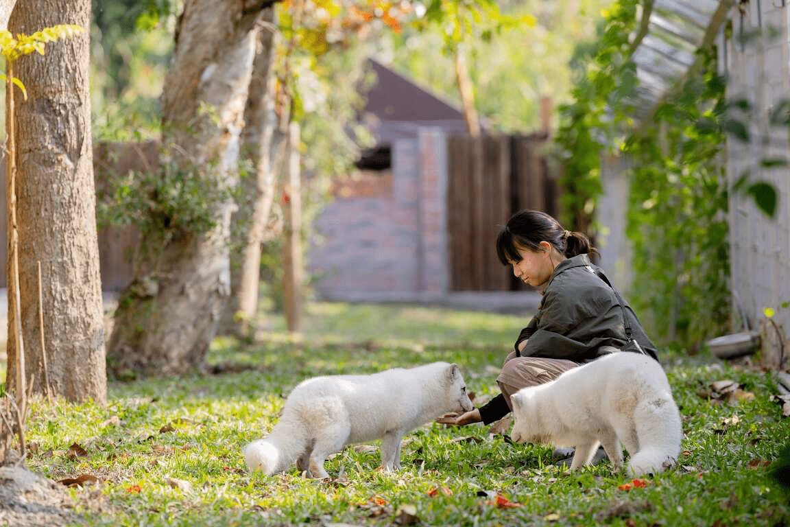高雄內門野森動物學校慢旅行，在山林與動物陪伴下收藏溫柔的自然時光