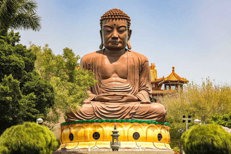 當午後陽光灑落林間高架之上，八卦山天空步道替彰化展開一頁空中風景