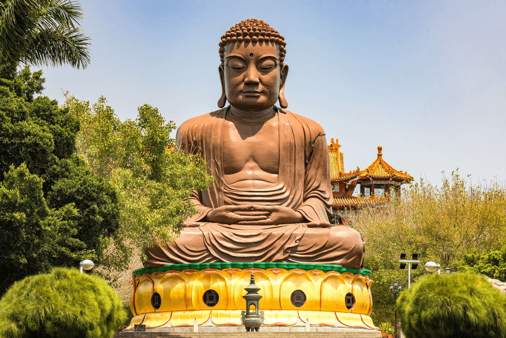 當午後陽光灑落林間高架之上，八卦山天空步道替彰化展開一頁空中風景