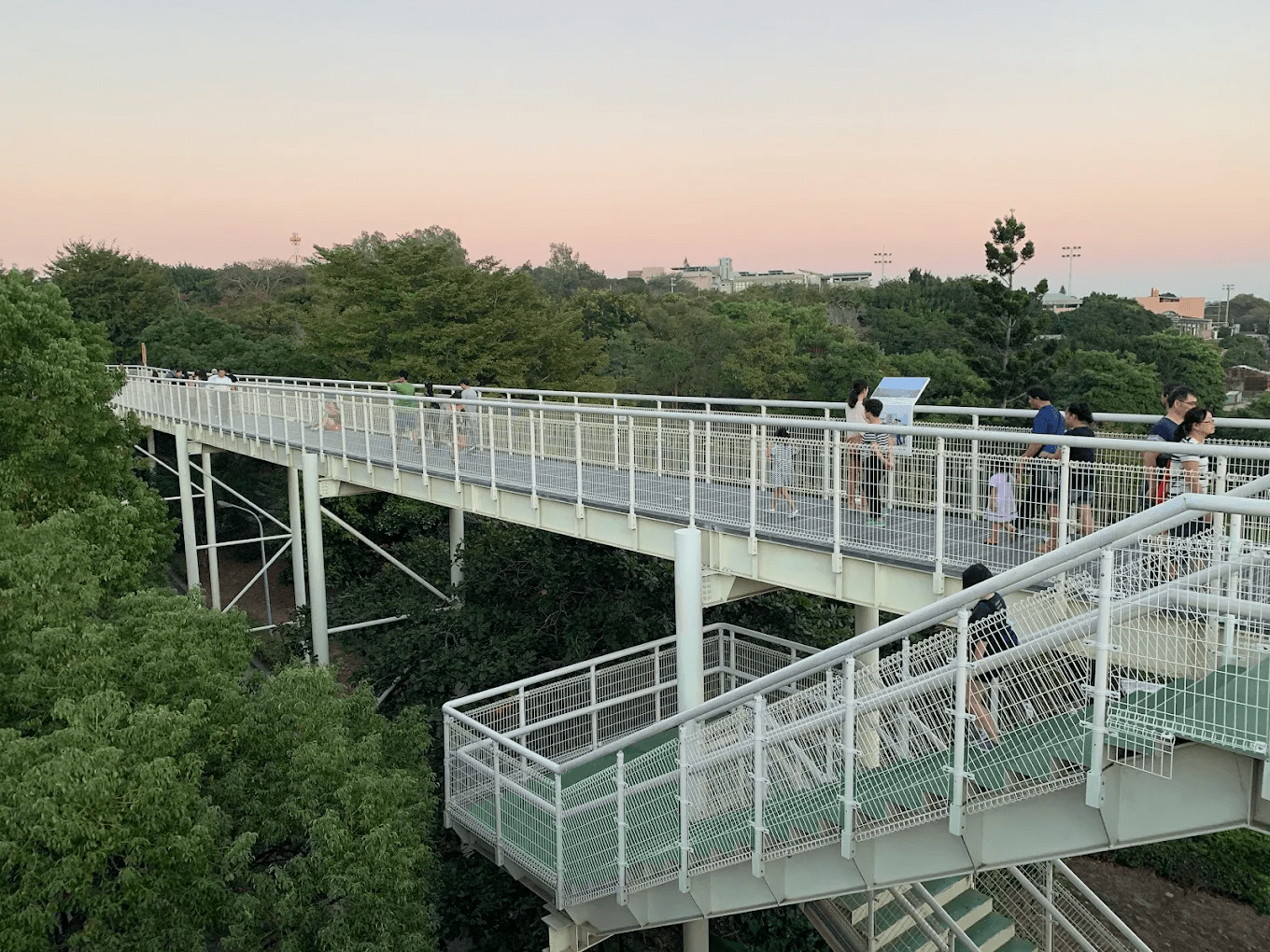 穿梭於林間的八卦山天空步道