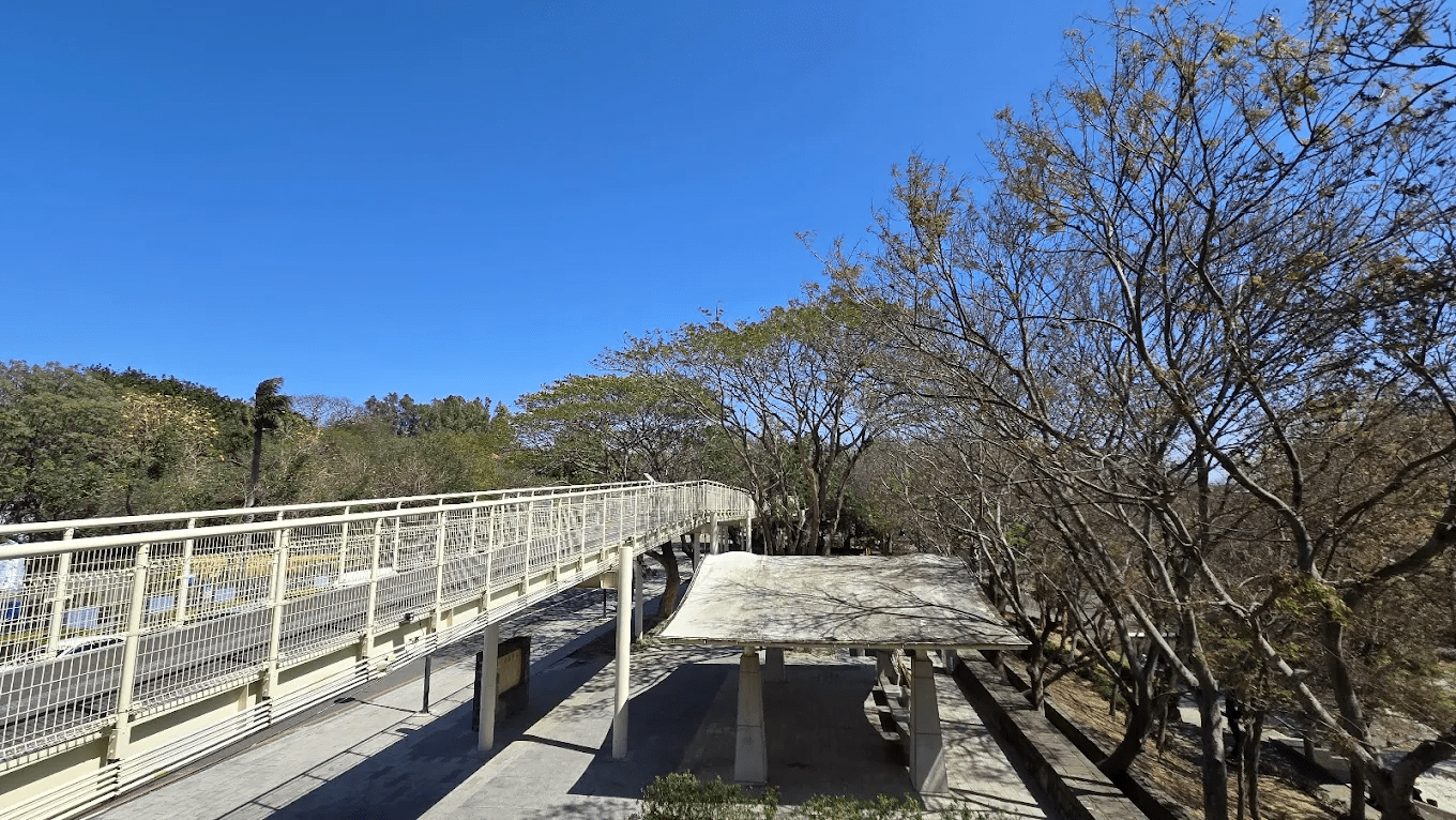 八卦山天空步道遠眺市區夜景