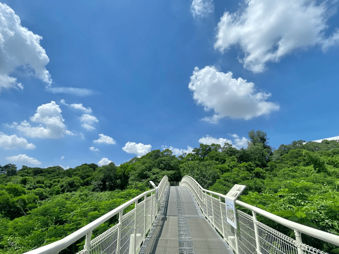 夕陽餘暉下的八卦山莊嚴大佛