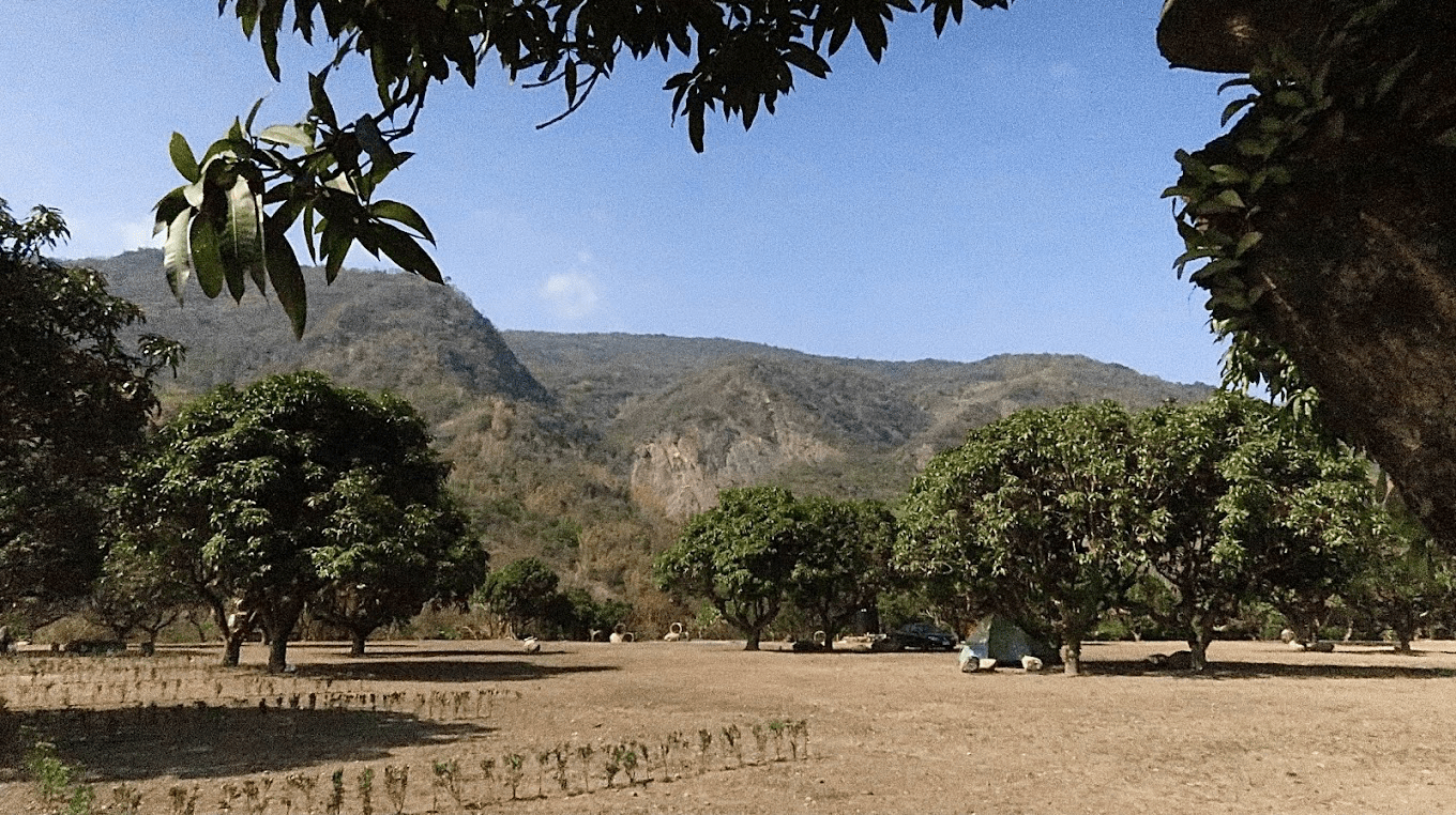 在六龜山林住進帳篷裡，高雄露營秘境讓星空與營火成為旅行最美的記憶
