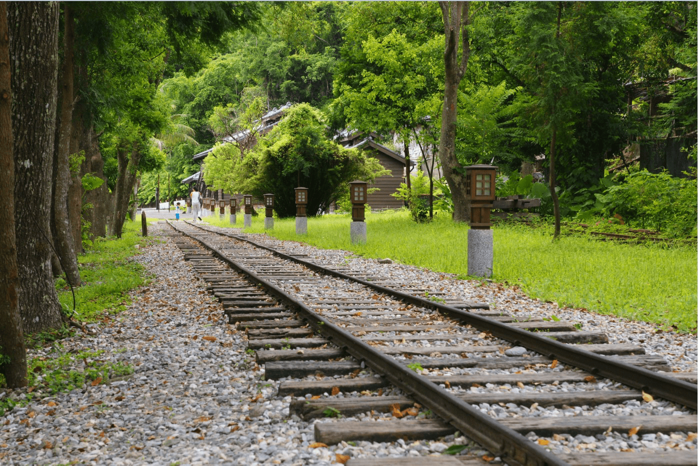 在花蓮旅行，林田山林業文化園區森林街道，帶你找回山城最純粹的寧靜