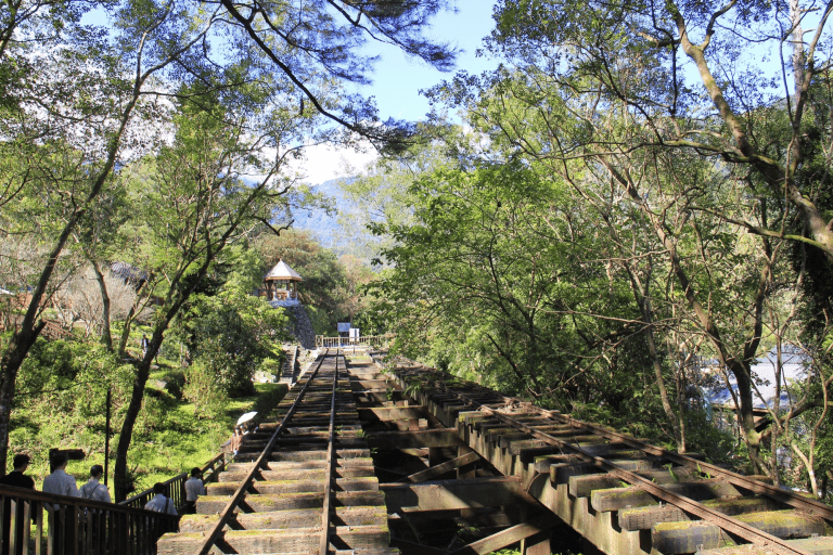 在花蓮旅行，林田山林業文化園區森林街道，帶你找回山城最純粹的寧靜