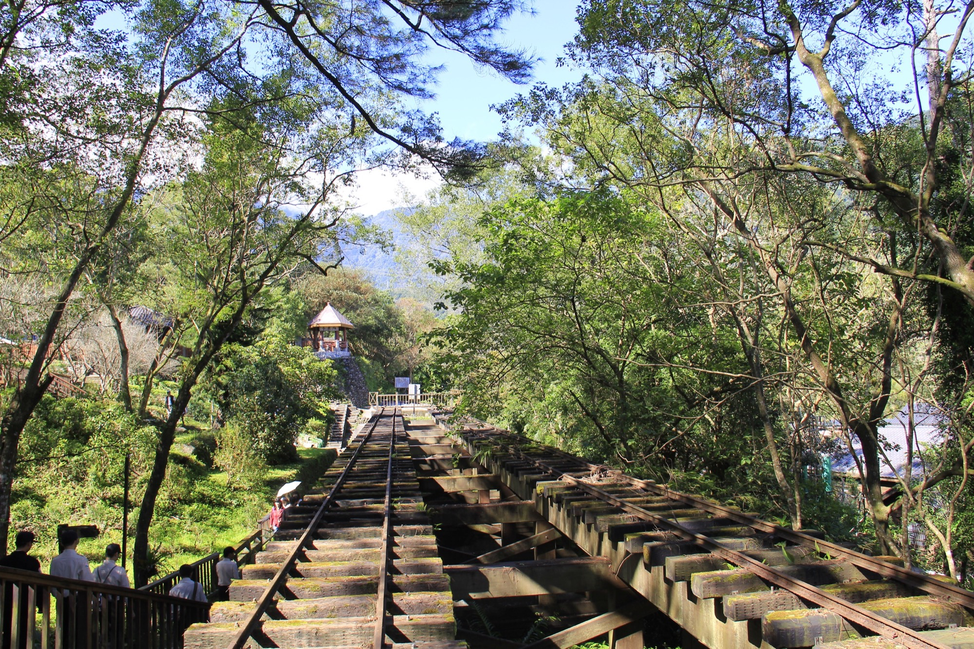 在花蓮旅行，林田山林業文化園區森林街道，帶你找回山城最純粹的寧靜