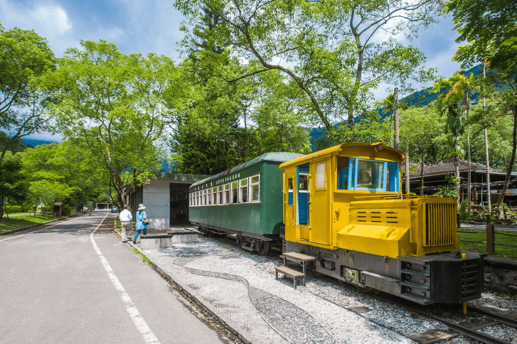 在花蓮旅行，林田山林業文化園區森林街道，帶你找回山城最純粹的寧靜