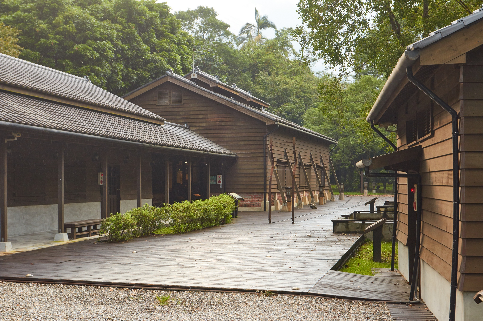 在花蓮旅行，林田山林業文化園區森林街道，帶你找回山城最純粹的寧靜