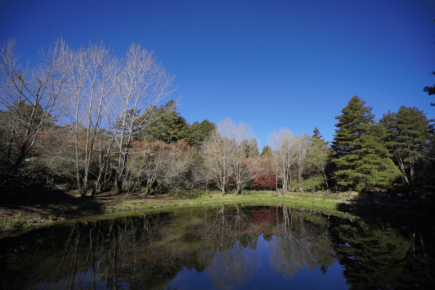 平靜如鏡的鴛鴦湖