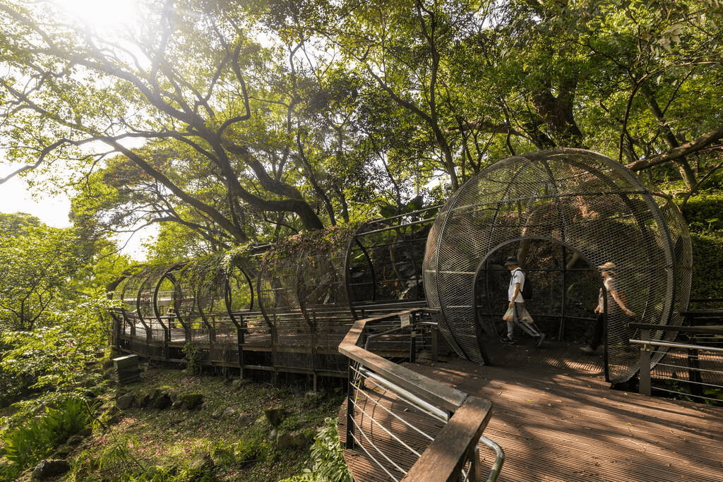 走進桃園一日慢行路線，從大溪老街午後光影到濕地夕陽，把風景收進剛剛好的旅行節奏裡