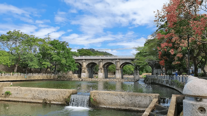 新竹關西一日遊不急著走完，午後停在東安古橋看水流再往森林裡慢慢走進去