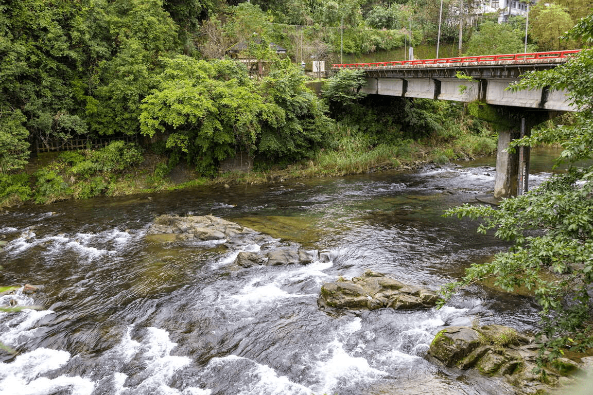 把一個午後留給新北坪林觀魚步道，沿著北勢溪走進清透水色與柔軟茶鄉