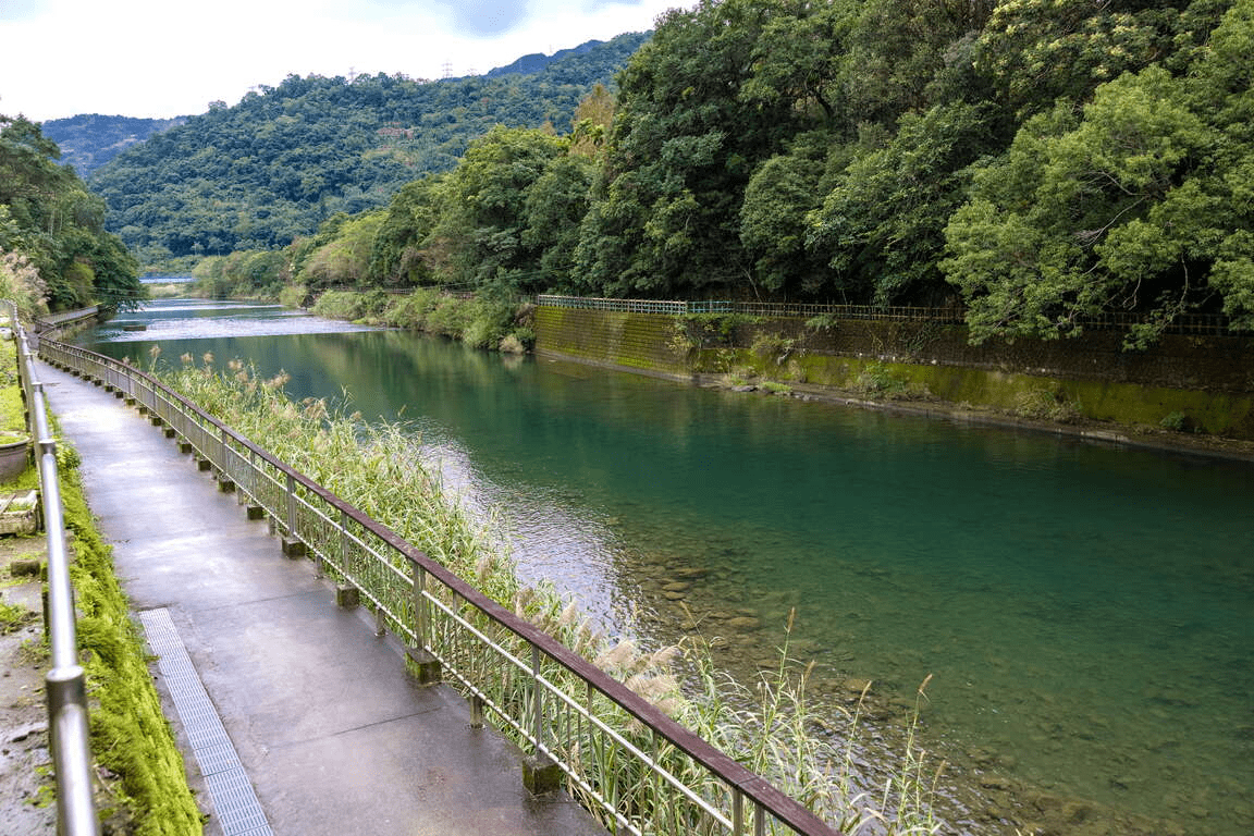 把一個午後留給新北坪林觀魚步道，沿著北勢溪走進清透水色與柔軟茶鄉