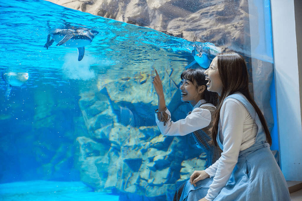 走進桃園青埔的Xpark水族館，在微光水影裡陪孩子慢慢看見海洋流動的一天