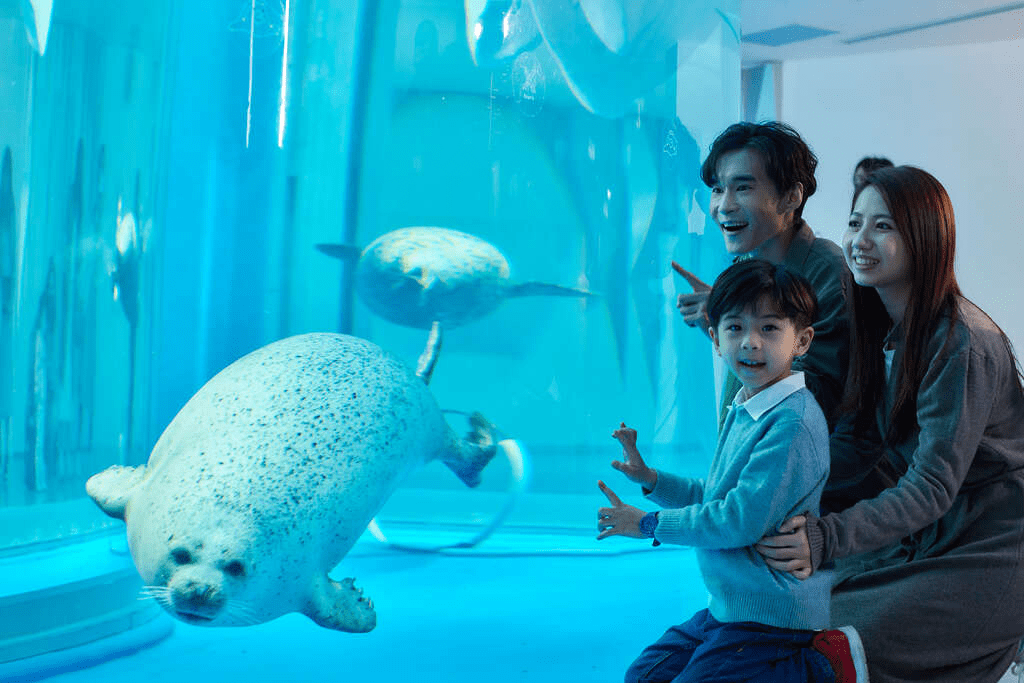 走進桃園青埔的Xpark水族館，在微光水影裡陪孩子慢慢看見海洋流動的一天
