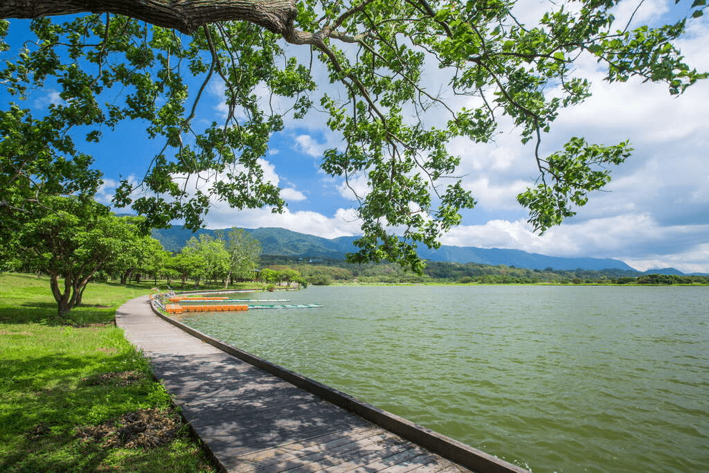 在台東池上大坡池沿著湖繞一圈，把稻田與水色收進一段剛好的節奏裡
