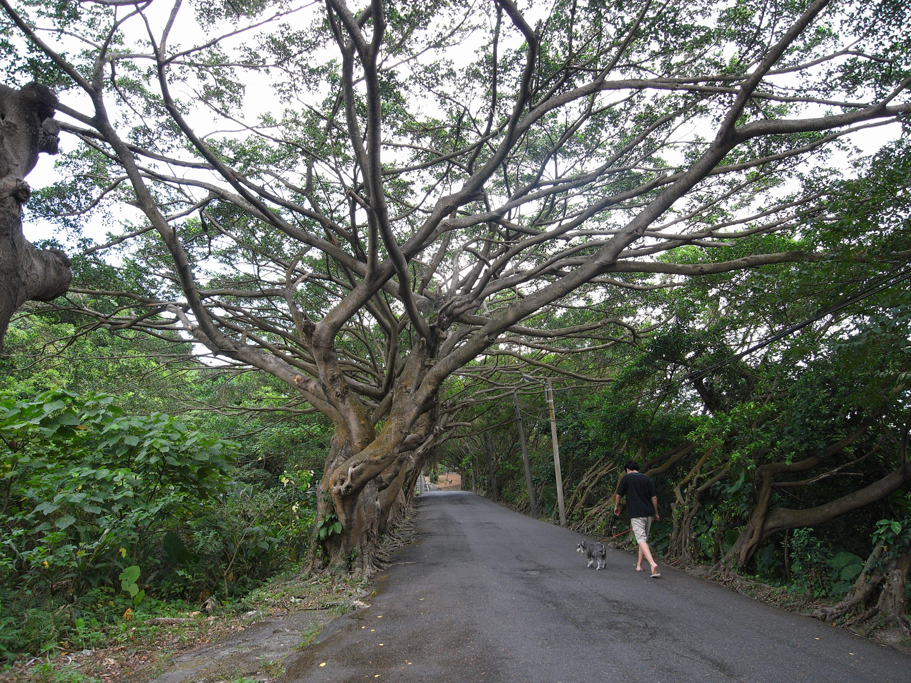 順著基隆鐵路隧道一路出發，從紅磚隧道到海岸鐵道，把時間慢慢交給風景