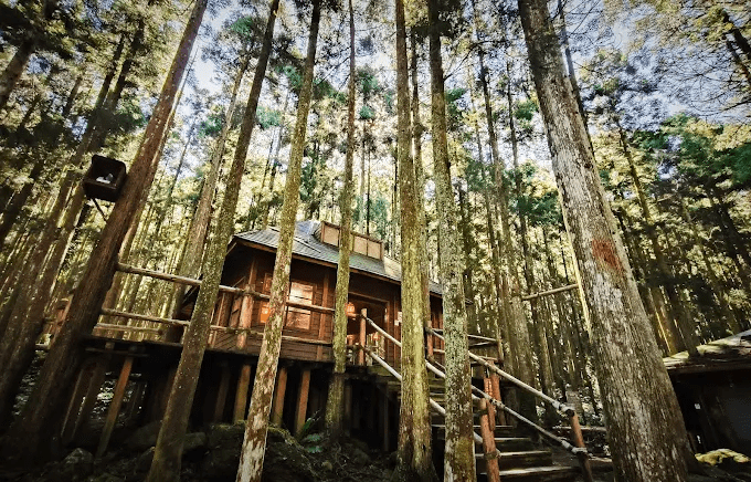 新竹山林一日慢走提案，早晨進入馬武督午後回到十八尖山讓節奏剛剛好