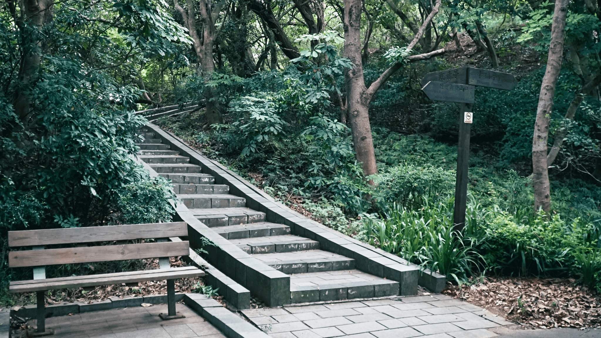 新竹山林一日慢走提案，早晨進入馬武督午後回到十八尖山讓節奏剛剛好