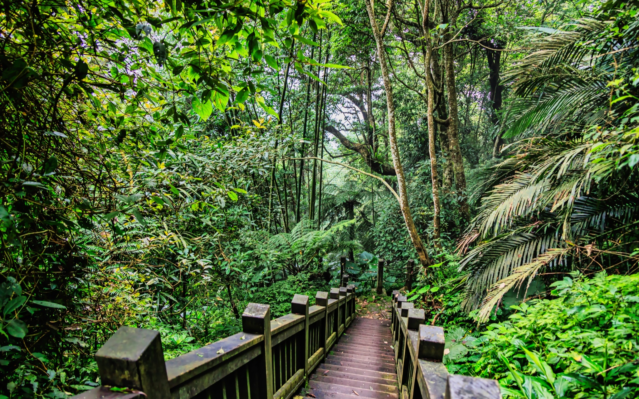 新竹山林一日慢走提案，早晨進入馬武督午後回到十八尖山讓節奏剛剛好
