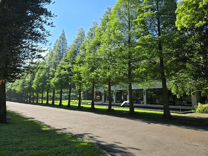 新竹山林一日慢走提案，早晨進入馬武督午後回到十八尖山讓節奏剛剛好