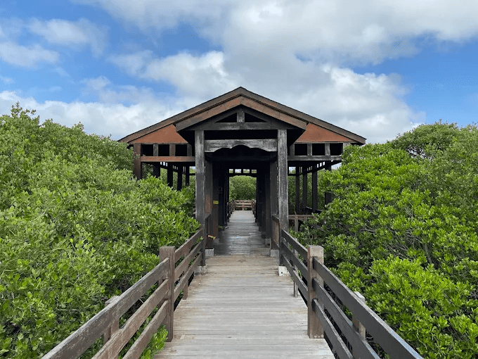沿著新竹新豐海岸慢慢走進紅樹林，在海風與夕光之間展開一段剛剛好的輕旅行