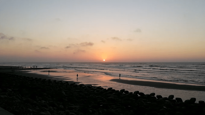 沿著新竹新豐海岸慢慢走進紅樹林，在海風與夕光之間展開一段剛剛好的輕旅行