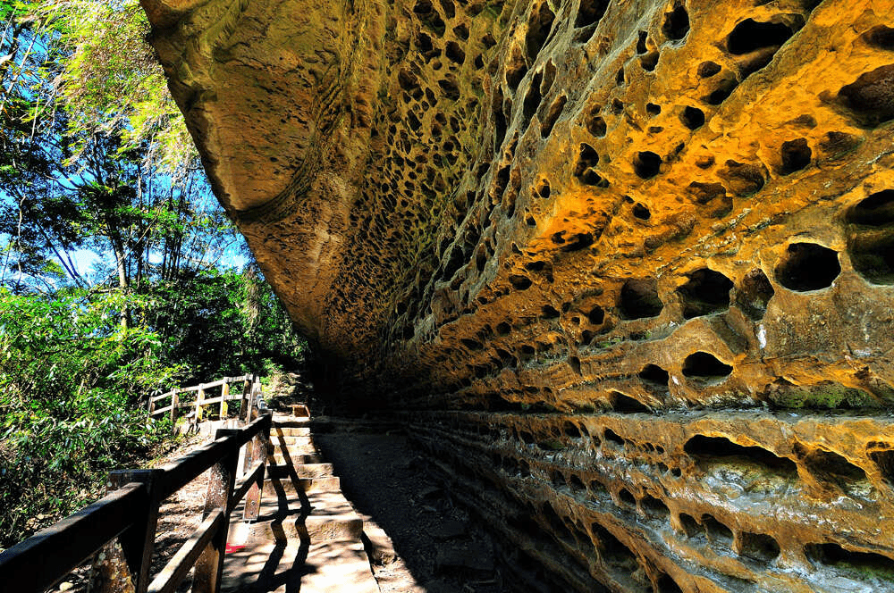 在嘉義梅山瑞里慢慢往山裡走，經過燕子崖與蝙蝠洞再迎向四天王山的山風
