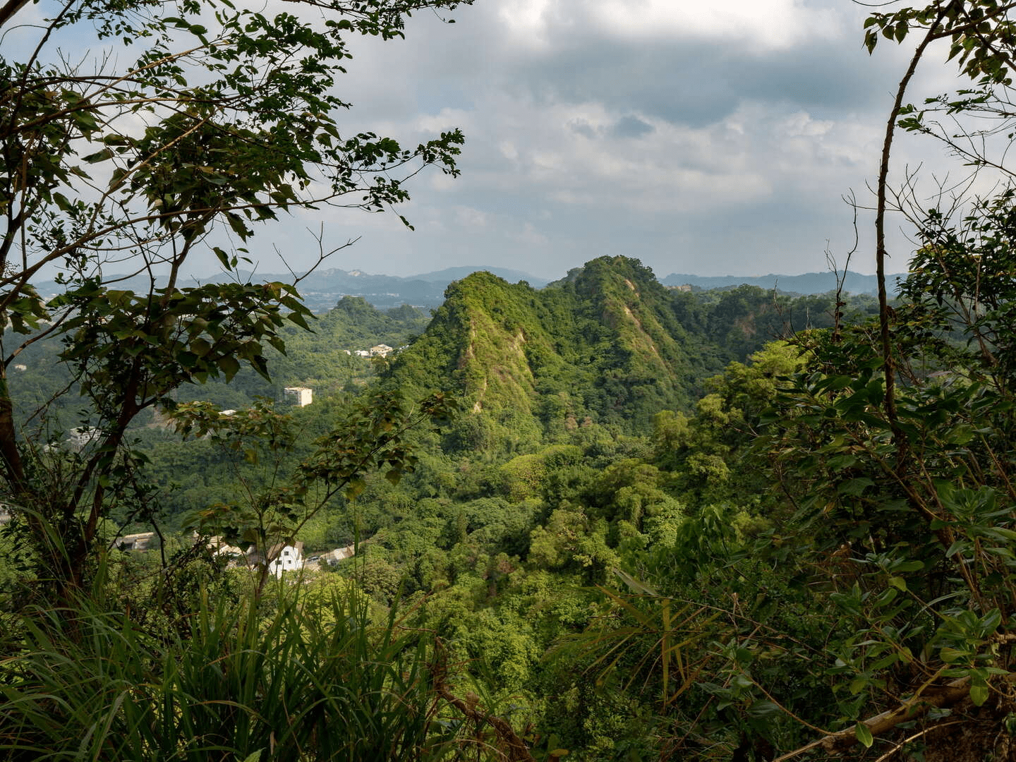 在高雄步道裡慢慢走向山的深處，沿著壽山與南口路線感受空氣與節奏轉換