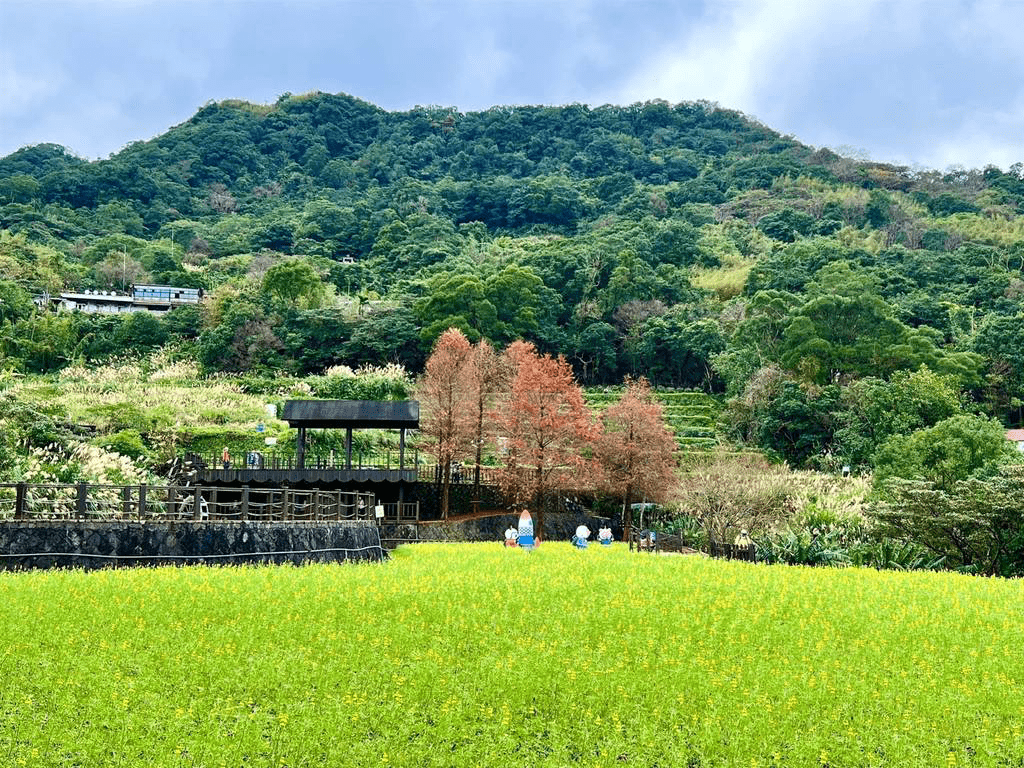 在台北貓空遇見春天最溫柔的顏色,樟樹步道的魯冰花海毯鋪滿整座山坡