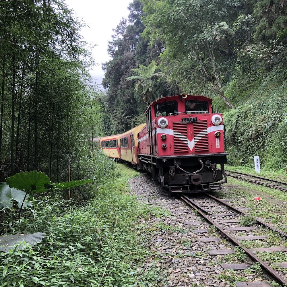 2026 阿里山林鐵全線通車朝聖攻略：穿梭雲端的紅色傳奇，百年火車機車庫深度巡禮