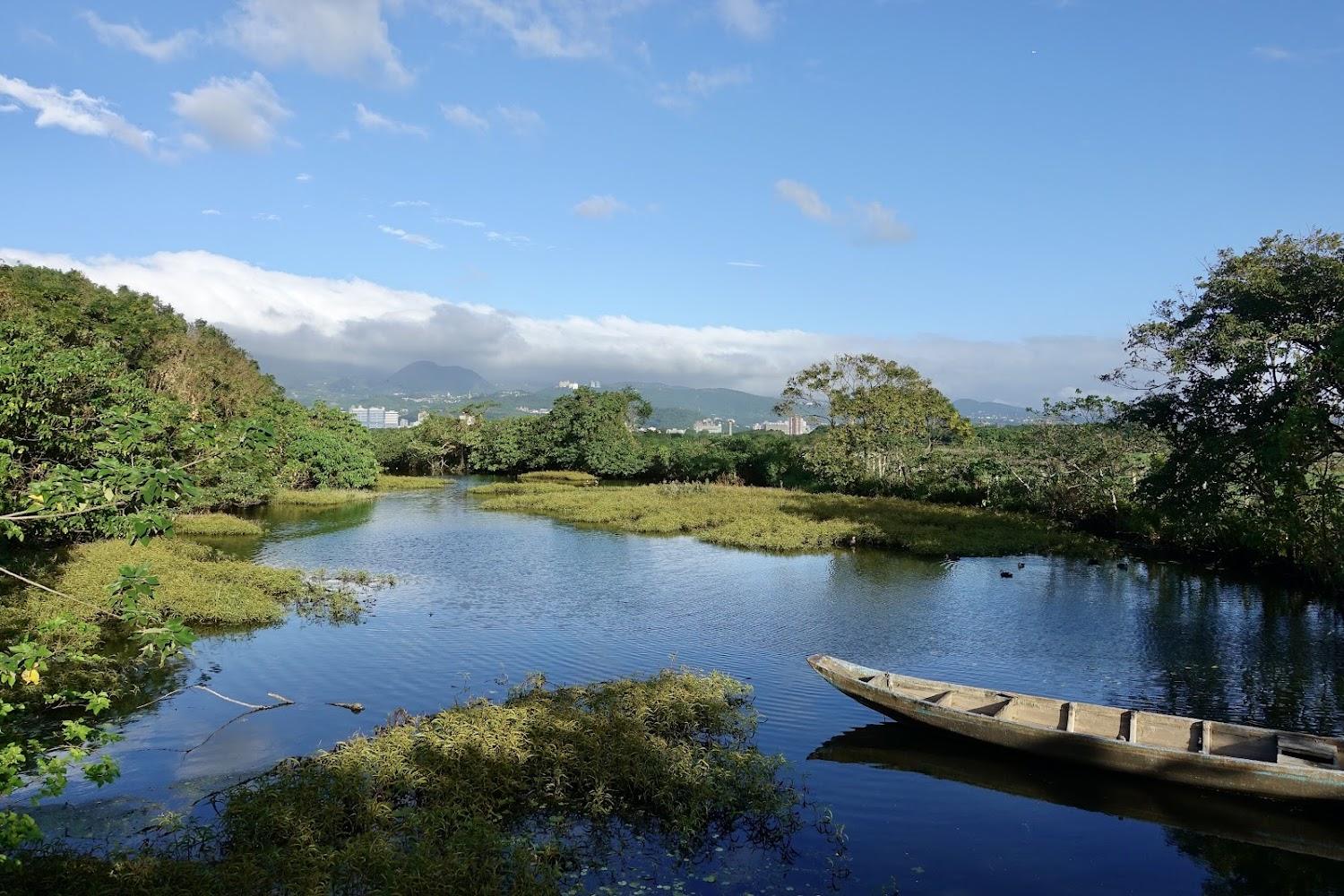 2026 台北五大療癒系綠意景點推薦：從森林步道到濕地生態，捷運直達的城市世外桃源