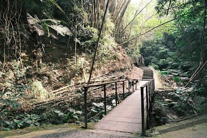 2026 雲林綠色旅遊地圖：從龍過脈森林步道到雲嶺之丘，探索最美山海秘境與地景藝術