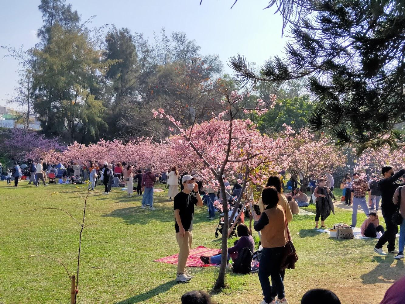 2026新竹旅遊全攻略：從城市綠肺到香山濕地，探索「台灣矽谷」的自然美學與慢活魅力