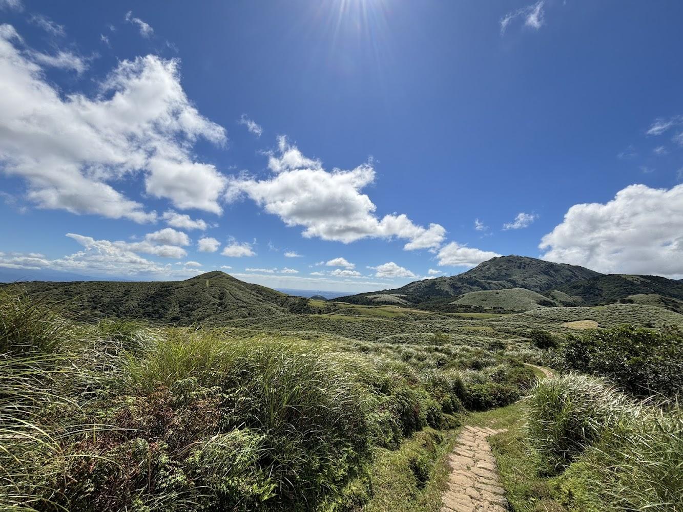 2026陽明山旅遊全攻略：從海芋季到擎天崗，探索台北後花園的四季魅力與交通指南