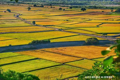 2026中台灣深度旅遊指南：從彩虹眷村到外埔忘憂谷，探尋最美療癒廊道